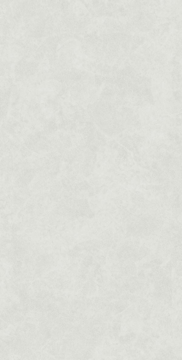 White Rect Matt 60x120 (600x1200)