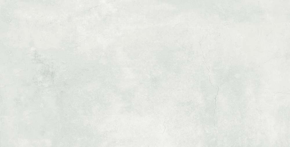 Silver Concrete Matt 60x120 (1200x600)
