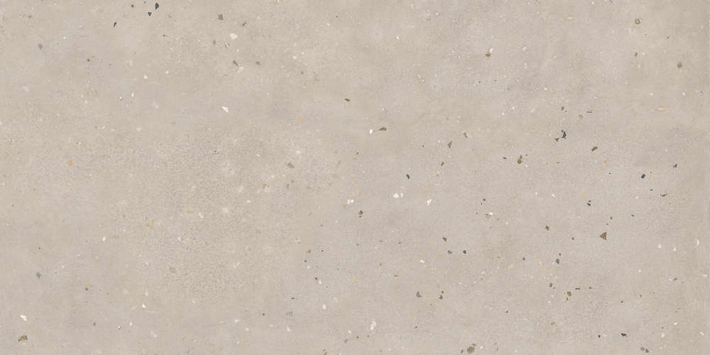 Light Mocha Matt 60x120 (1200x600)