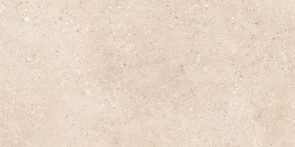 Light Ivory Matt 60x120 (1200x600)