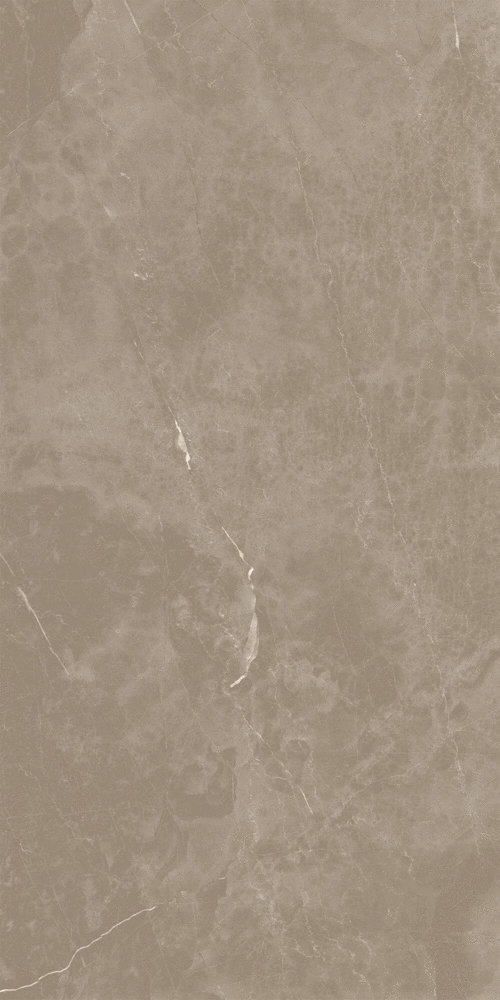 Taupe M 60x120 (600x1200)