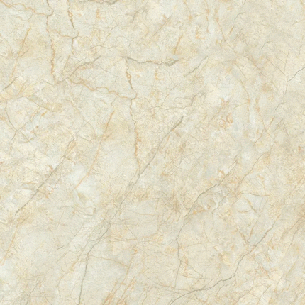 CSG Porcelain KZ 60x60 D6615