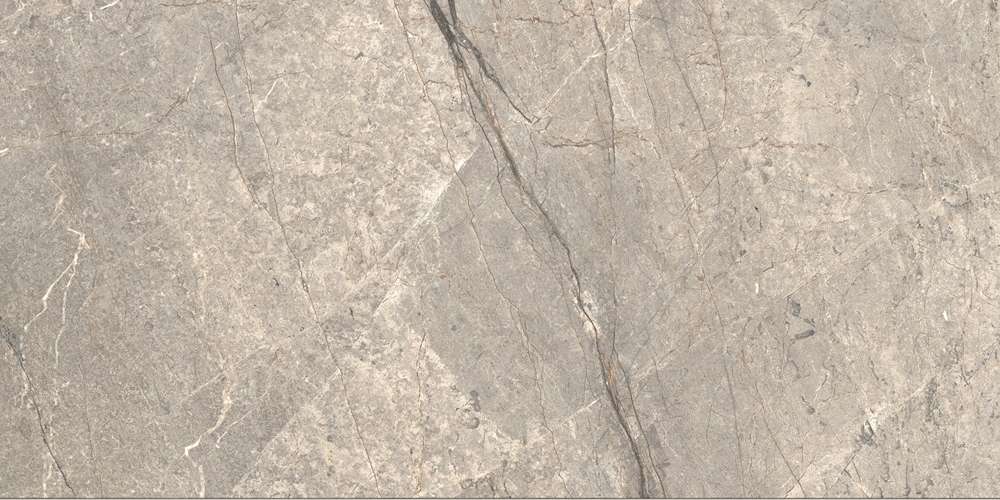 Amazing Silver Matt 120x60 (1200x600)