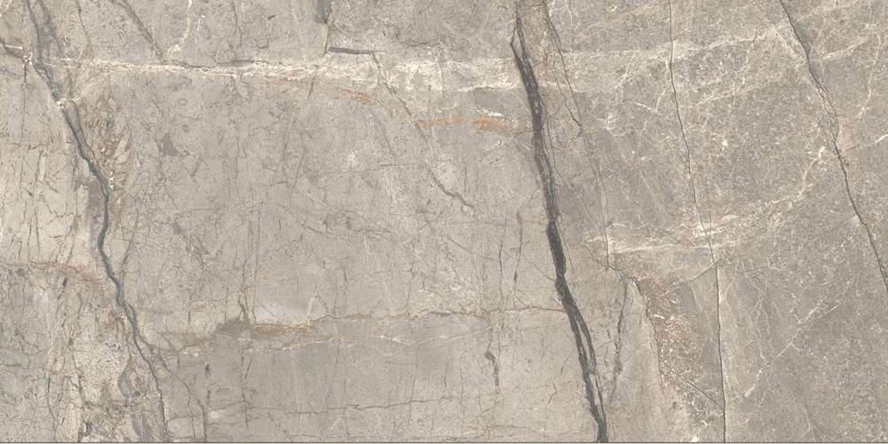Amazing Silver Matt 120x60 (1200x600)