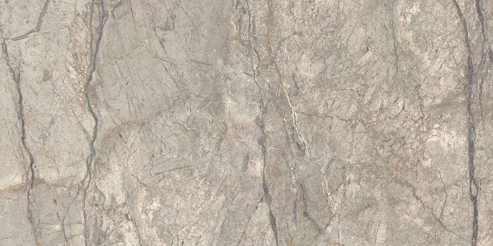 Amazing Silver Matt 120x60 (1200x600)
