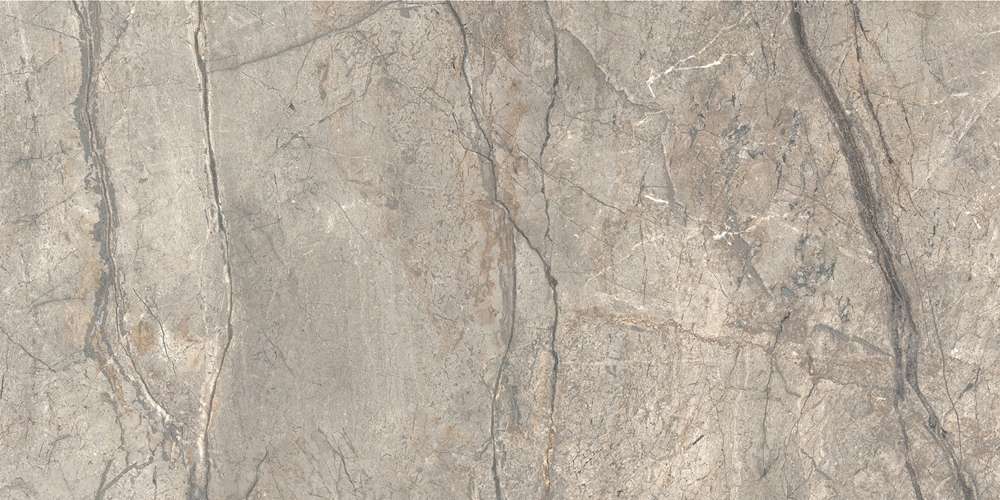 Amazing Silver Matt 120x60 (1200x600)
