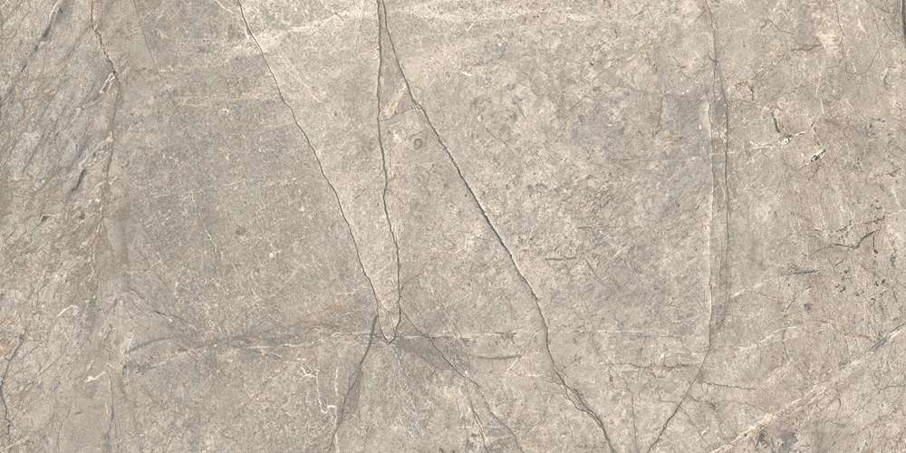 Amazing Silver Matt 120x60 (1200x600)