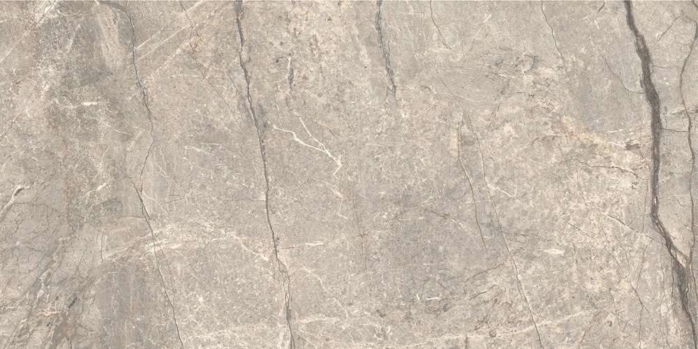 Amazing Silver Matt 120x60 (1200x600)