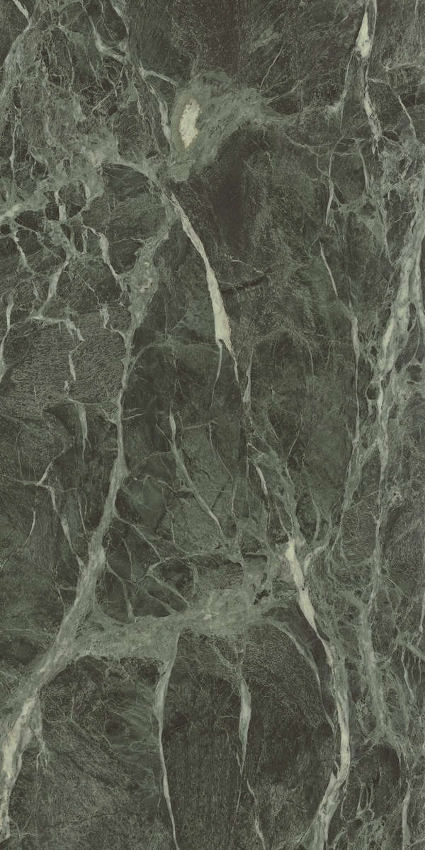 Forest Lucidato 60x120 (600x1200)