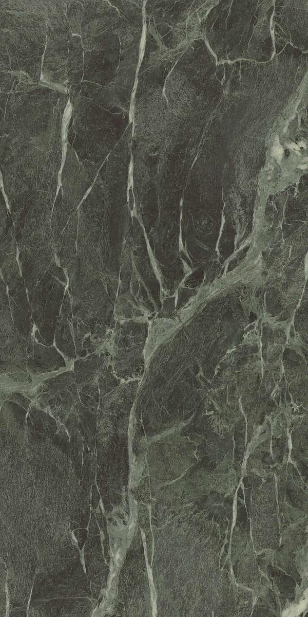 Forest Lucidato 60x120 (600x1200)