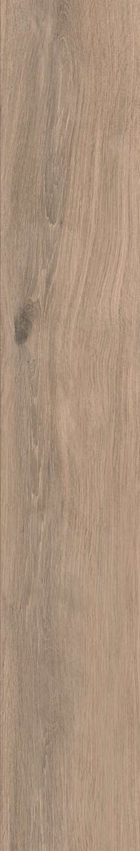 Ease Naturale 20x120 (200x1200)