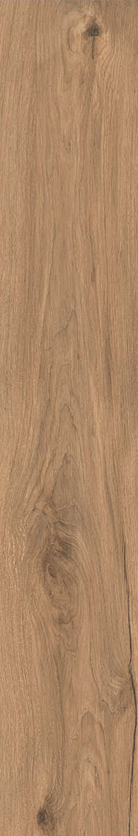 Joy Naturale 20x120 (200x1200)