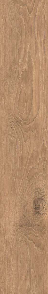 Joy Naturale 20x120 (200x1200)