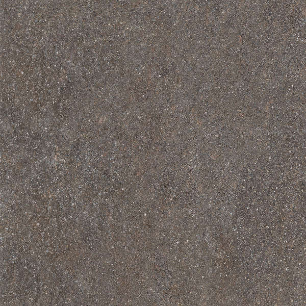 Lavis Rt 60x60 (600x600)