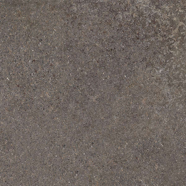 Lavis Rt 60x60 (600x600)