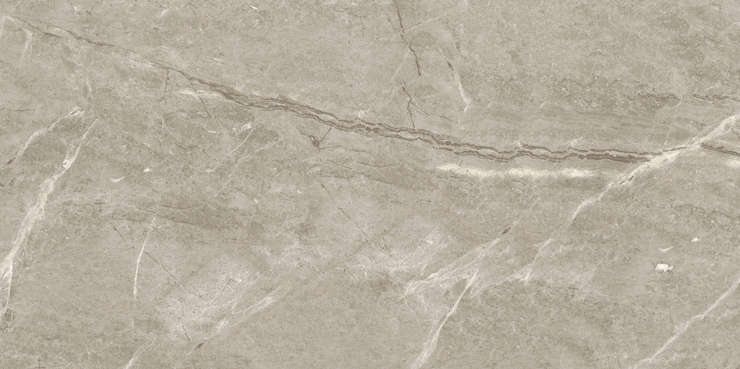 Боде Керамика Marble Breccia silver venato 
POL 120x60 5693