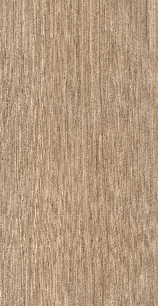 Plank 01 Comfort 6mm 60x120 Ret (600x1200)