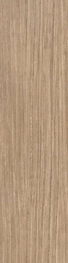 Plank 01 Strutturato 10mm 30x120 Ret (300x1200)