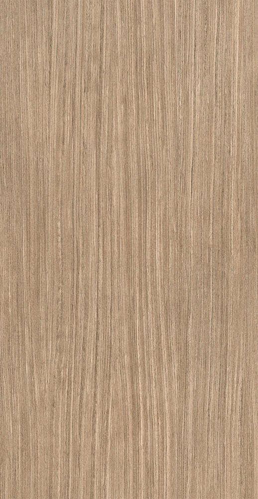 Plank 01 Comfort 6mm 60x120 Ret (600x1200)