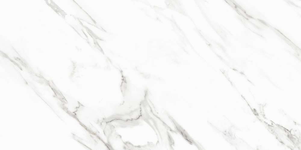 Neptune White PGVT 60x120 (1200x600)