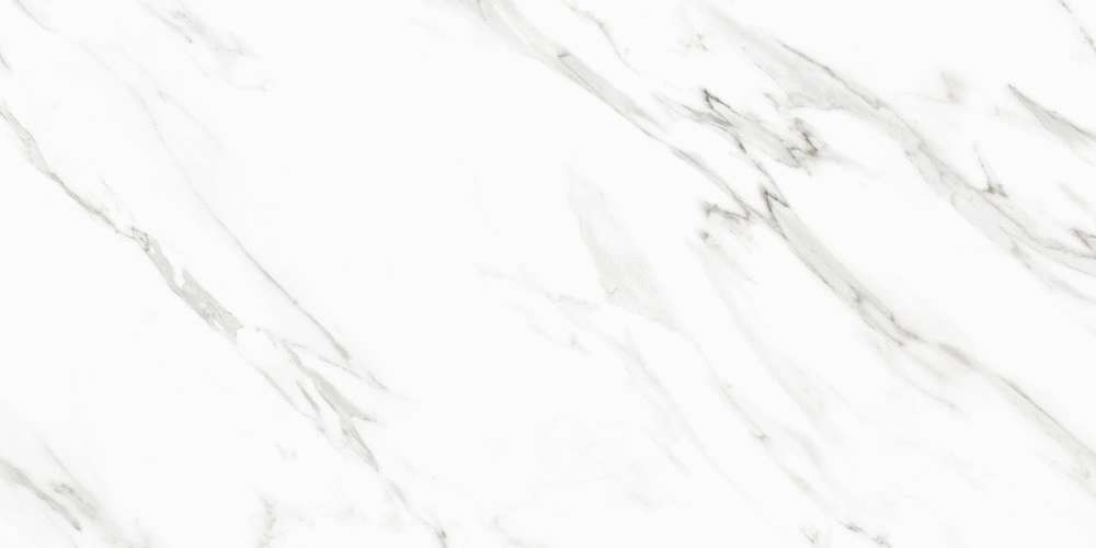 Neptune White PGVT 60x120 (1200x600)