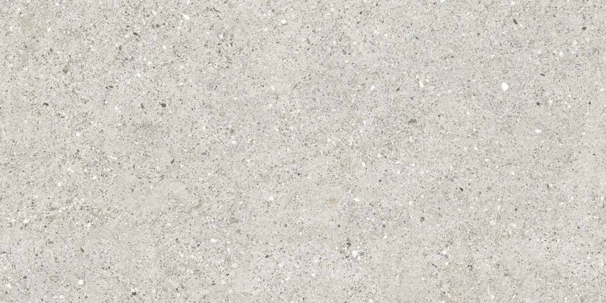Grigio Серый Матовый 59.5х119.1 (1191x595)