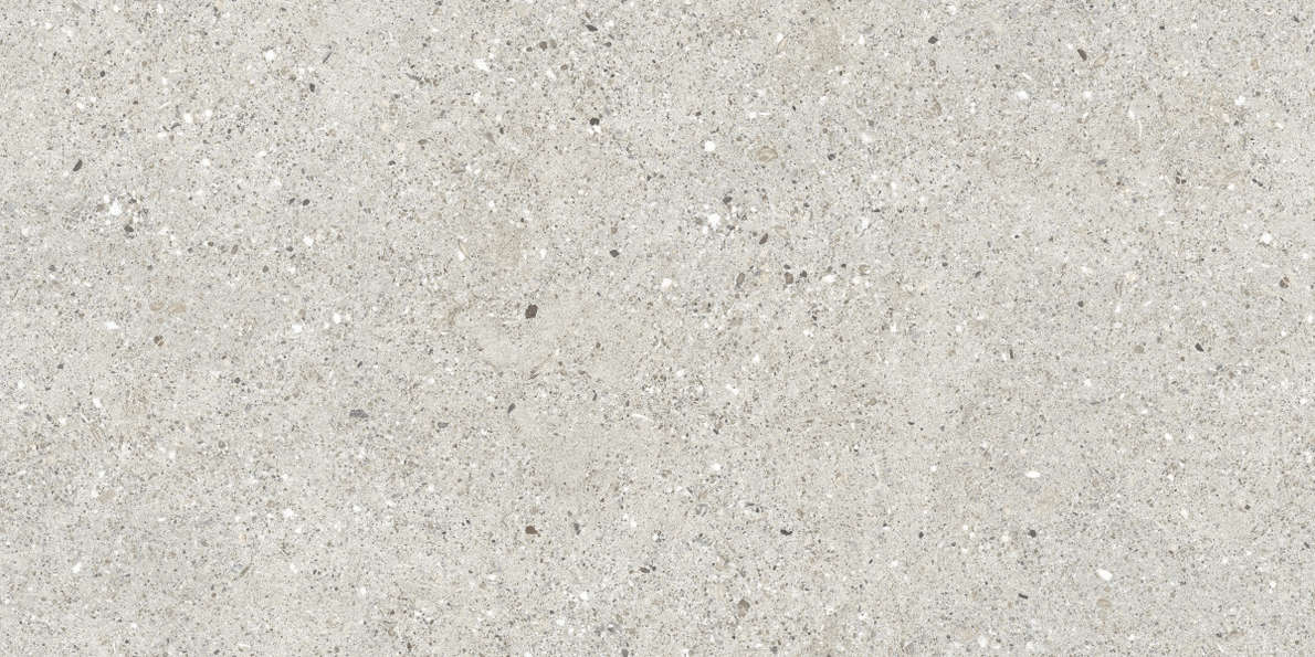 Grigio Серый Матовый 59.5х119.1 (1191x595)