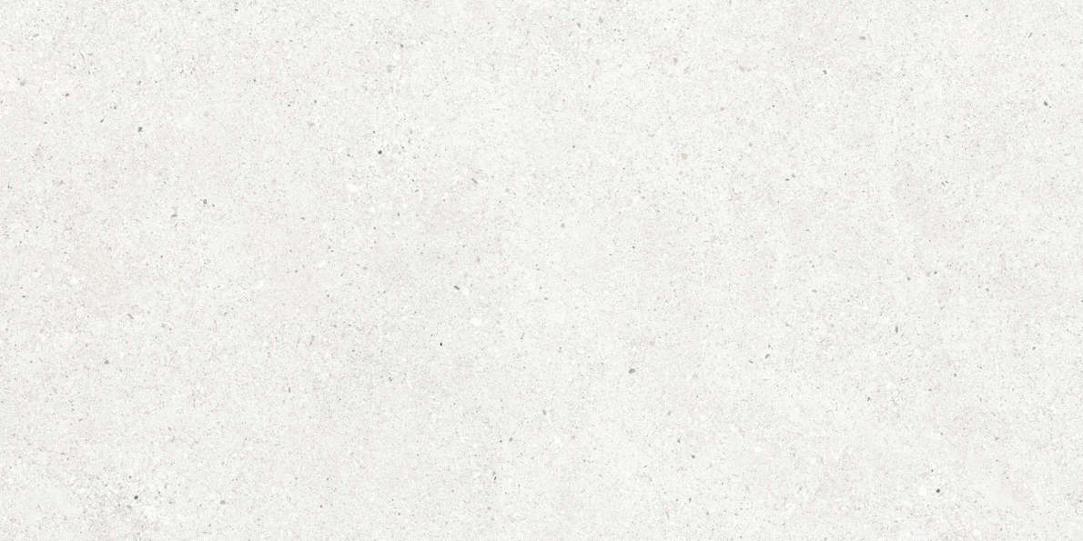 Bianco Светло-Серый Матовый 59.5х119.1 (1191x595)