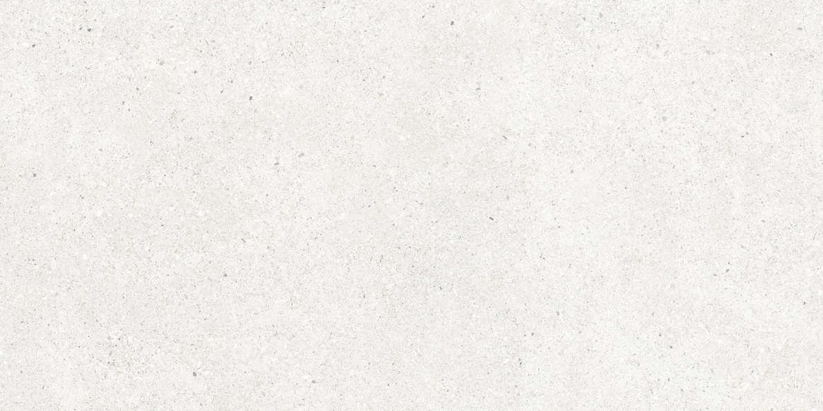 Bianco Светло-Серый Матовый 59.5х119.1 (1191x595)
