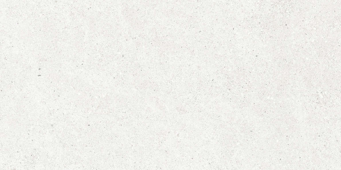 Bianco Светло-Серый Матовый 59.5х119.1 (1191x595)