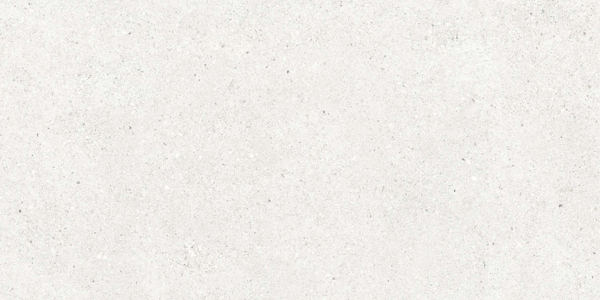 Bianco Светло-Серый Матовый 59.5х119.1 (1191x595)