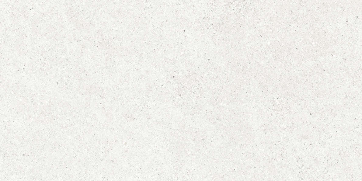 Bianco Светло-Серый Матовый 59.5х119.1 (1191x595)