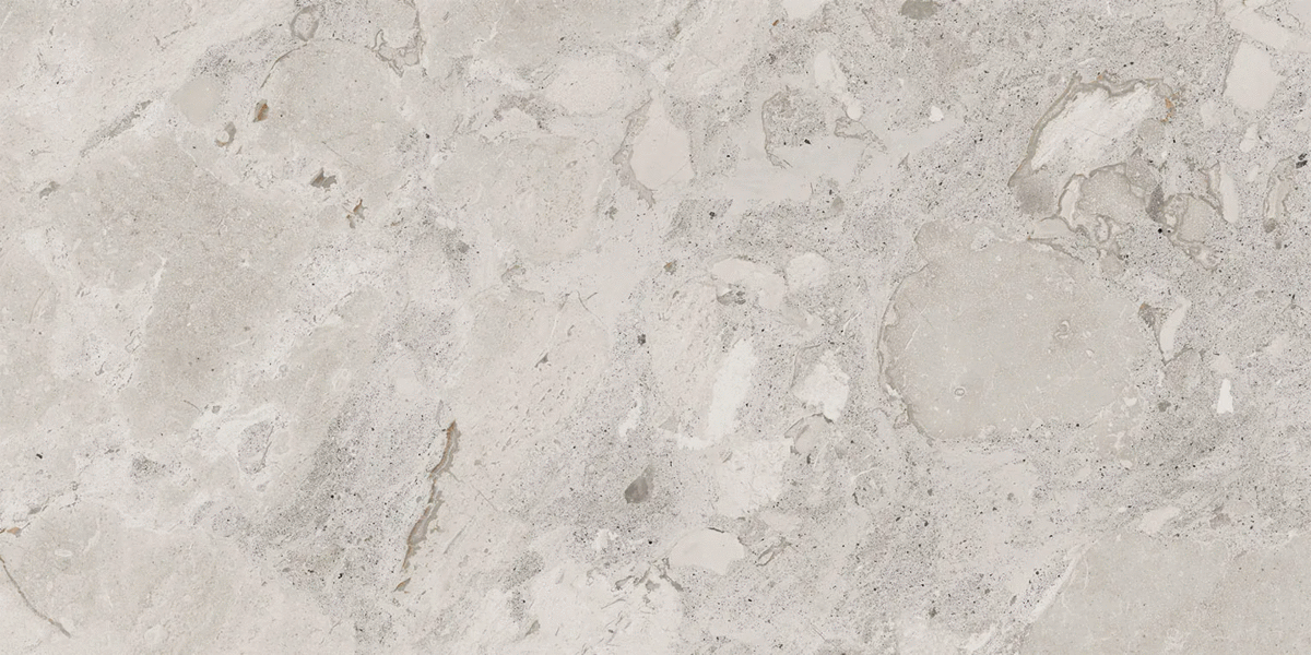 Silver Levigato 60x120 (1200x600)