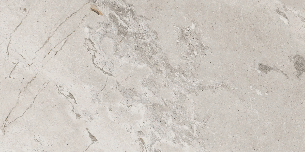 Silver Levigato 60x120 (1200x600)