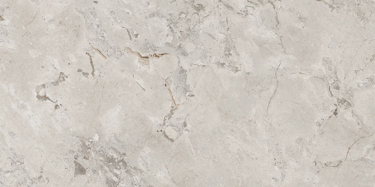 Silver Levigato 60x120 (1200x600)