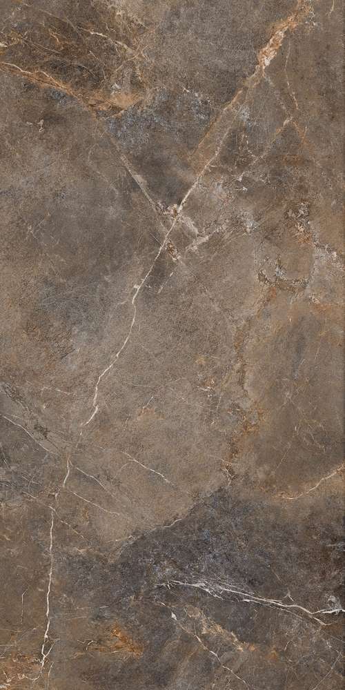 Brown 119.7x59.7 (597x1197)