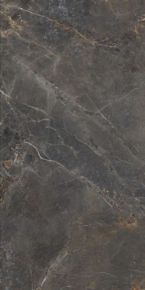 Grey 119.7x59.7 (597x1197)