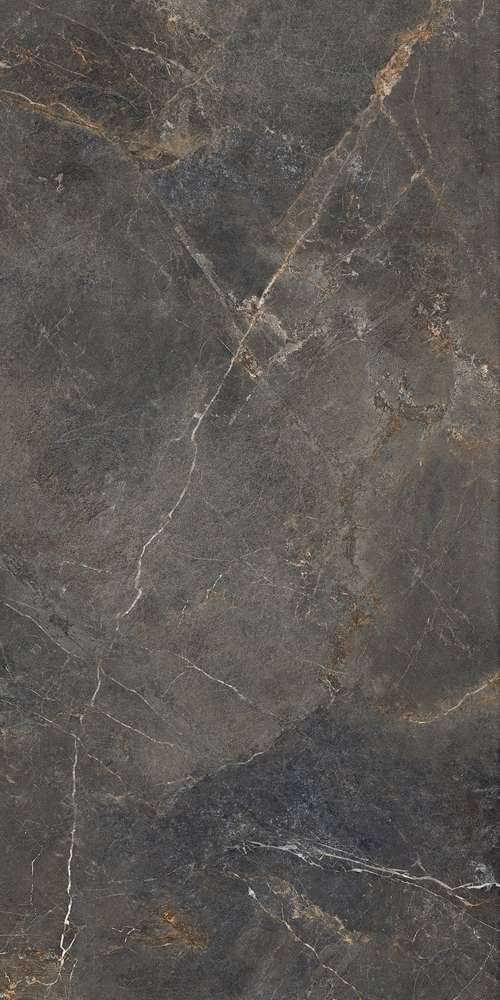 Grey 119.7x59.7 (597x1197)