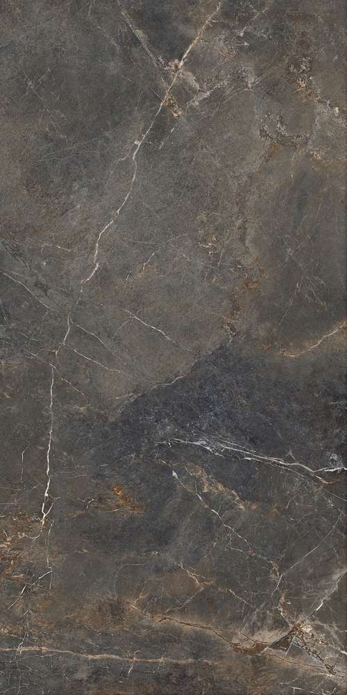Grey 119.7x59.7 (597x1197)