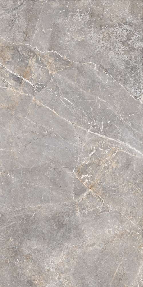 Silver 119.7x59.7 (597x1197)