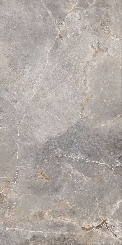 Silver 119.7x59.7 (597x1197)