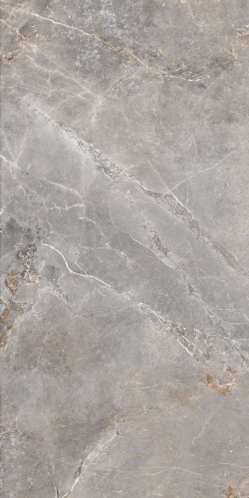Silver 119.7x59.7 (597x1197)