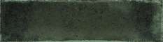 Green Brillo  (246x60)