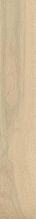 Колизеумгрес Bormio Sand Ret 20x120