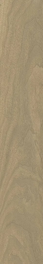 Honey Ret 20x120 (200x1200)