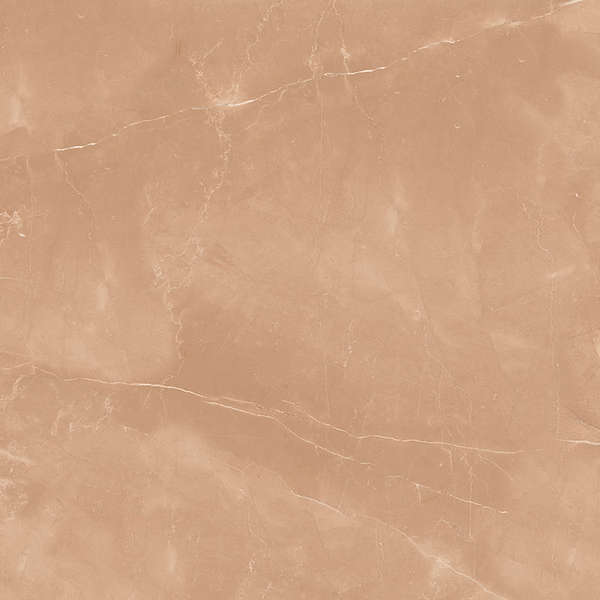 Camel 60x60 Satin (600x600)