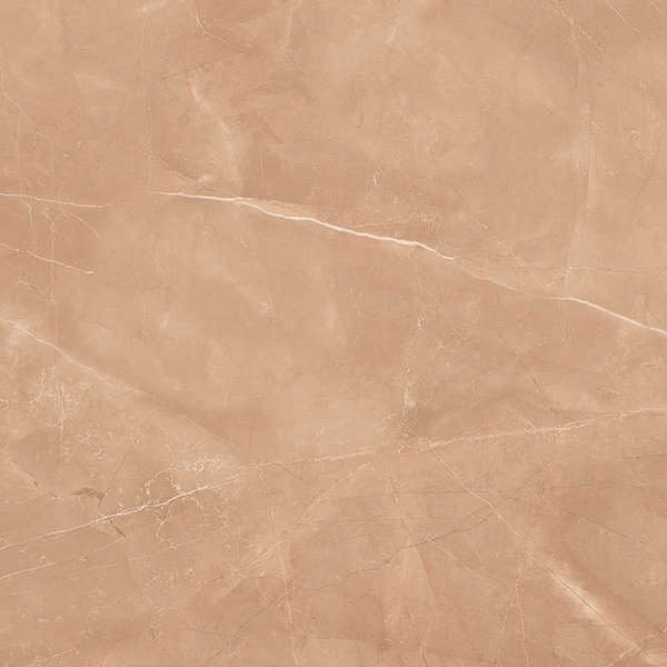 Camel 60x60 Satin (600x600)