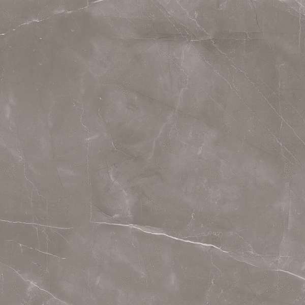 Gris 60x60 Satin (600x600)