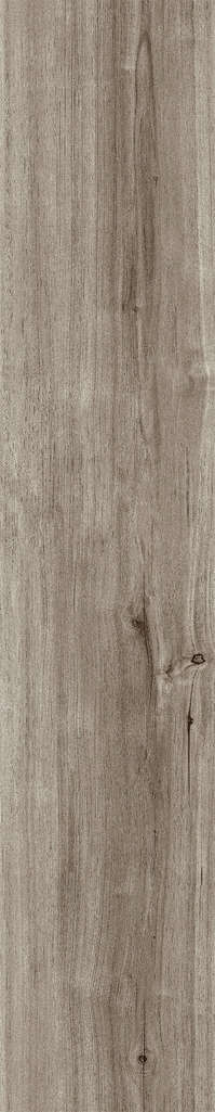Ash Rustic 20x120 (200x1200)