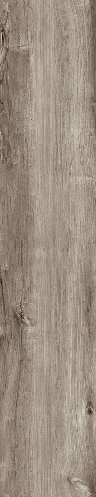 Ash Rustic 20x120 (200x1200)